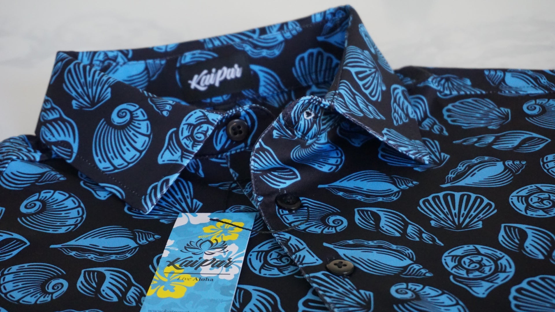 Seashells Limited Edition