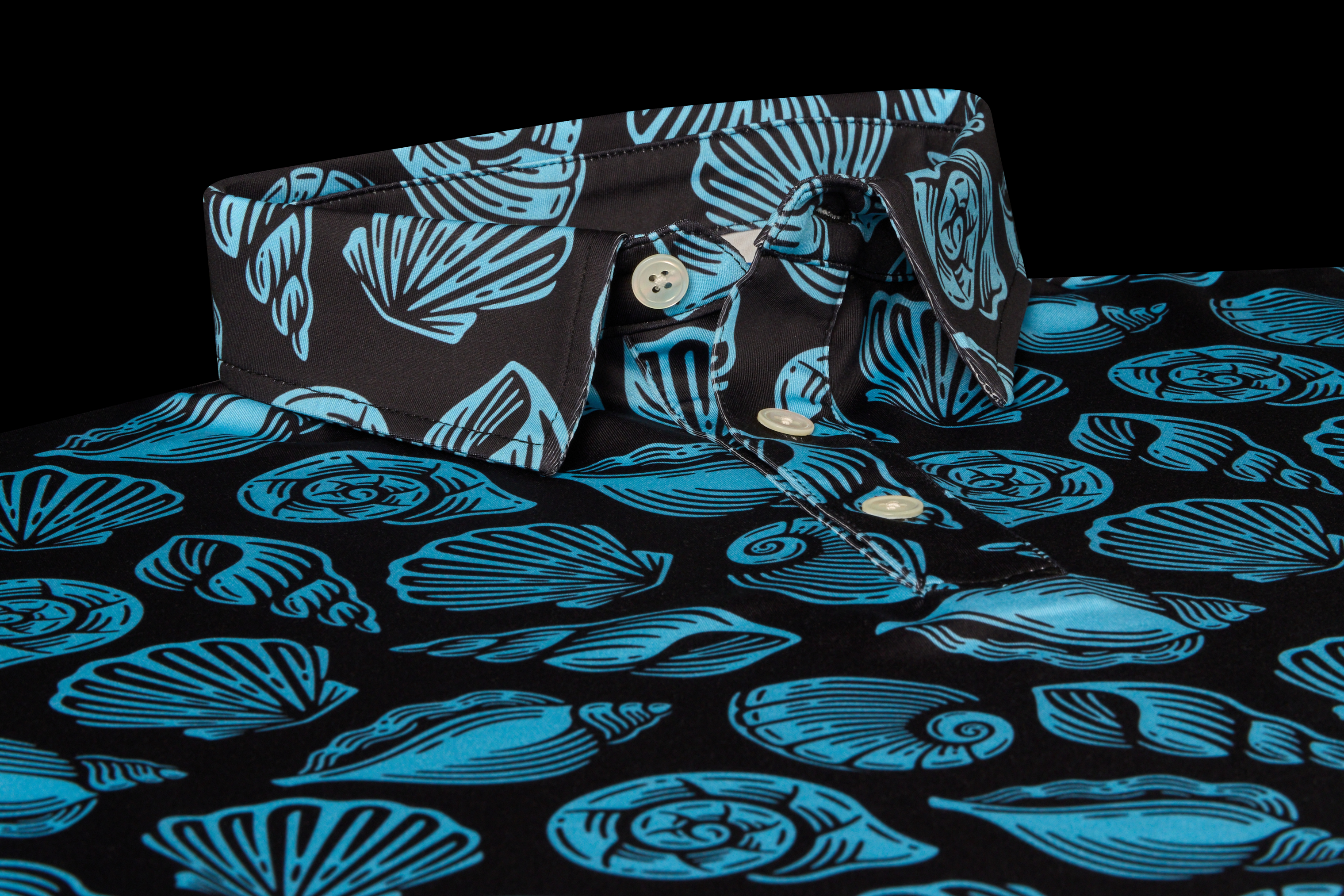 Seashells