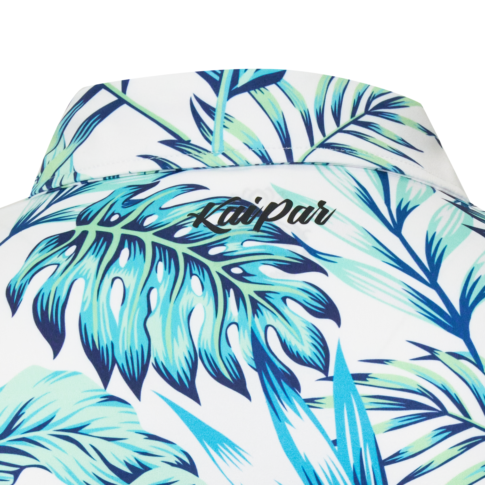 The Tropics