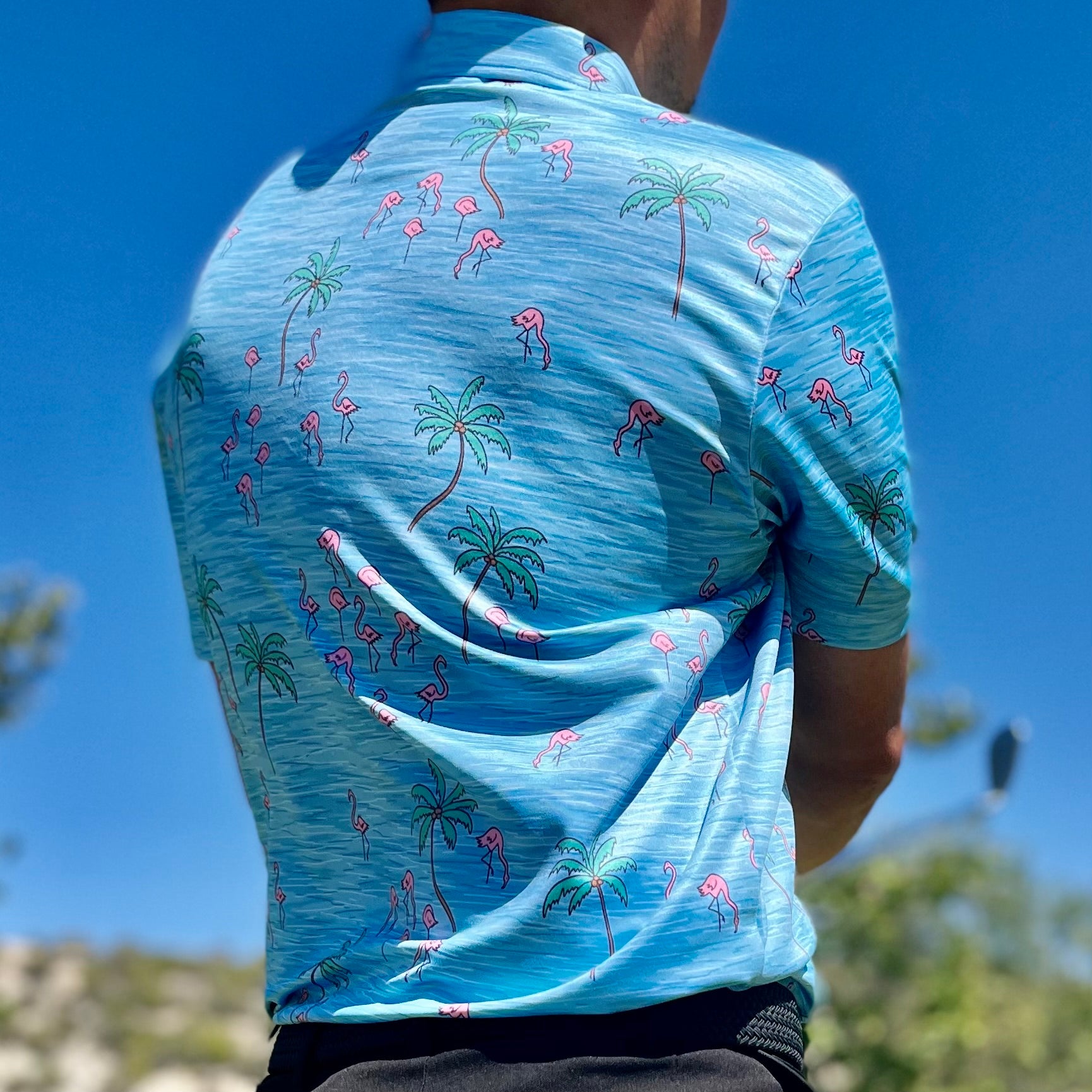 Flamingo Party
