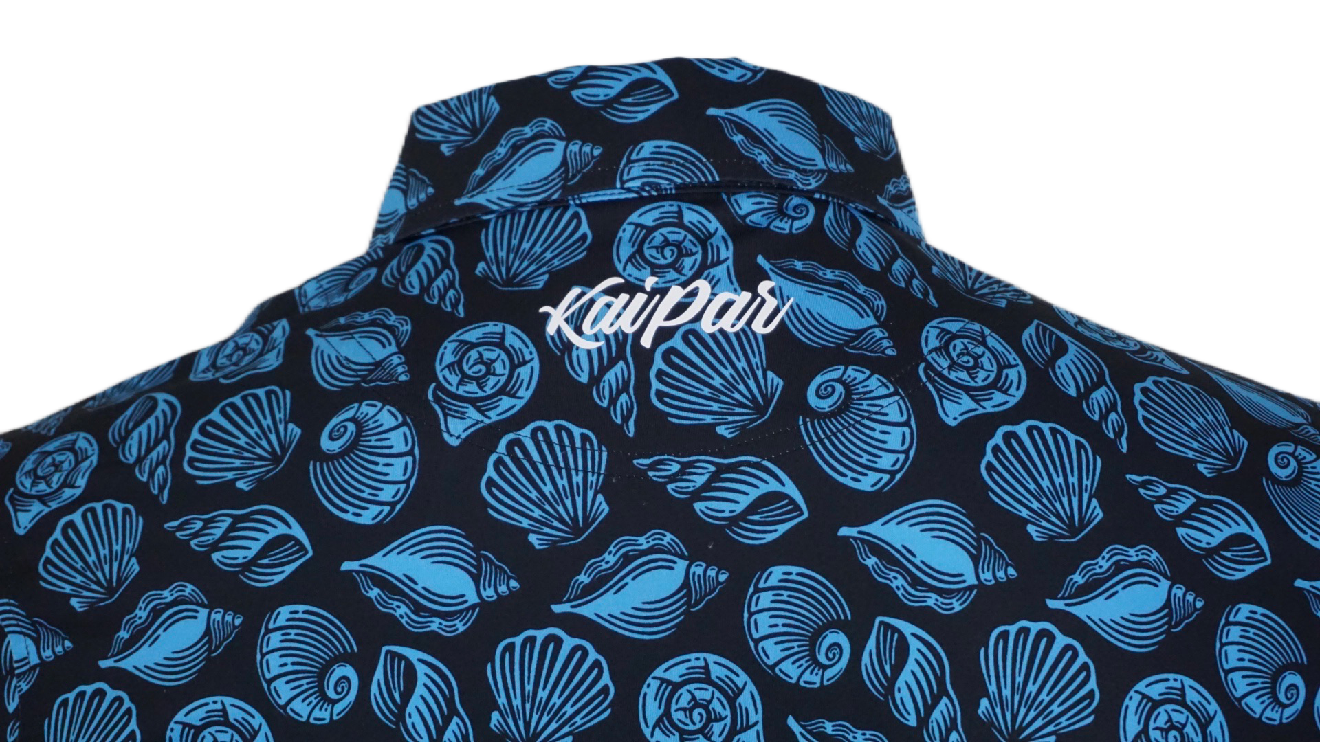 Seashells Limited Edition
