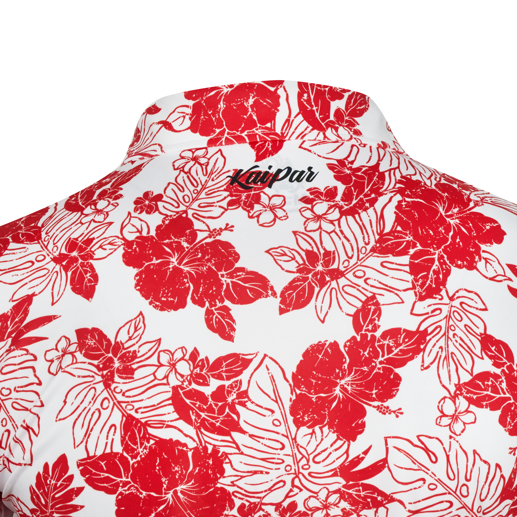 Red Hibiscus