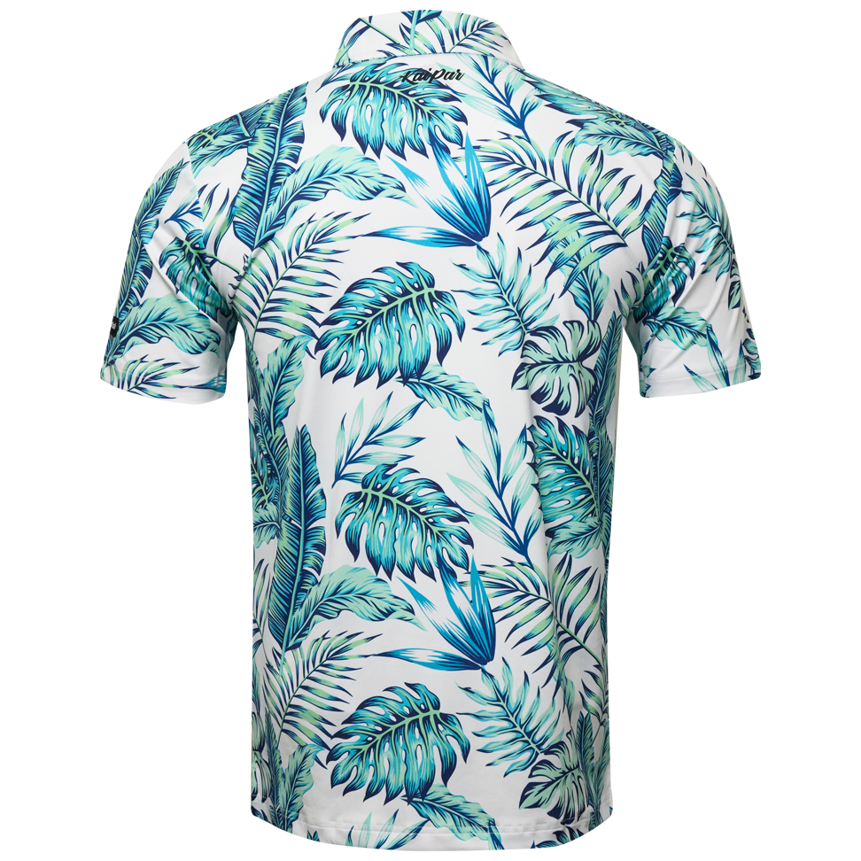 The Tropics