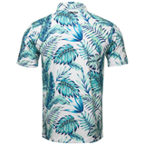 The Tropics