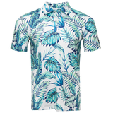 The Tropics