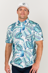 The Tropics