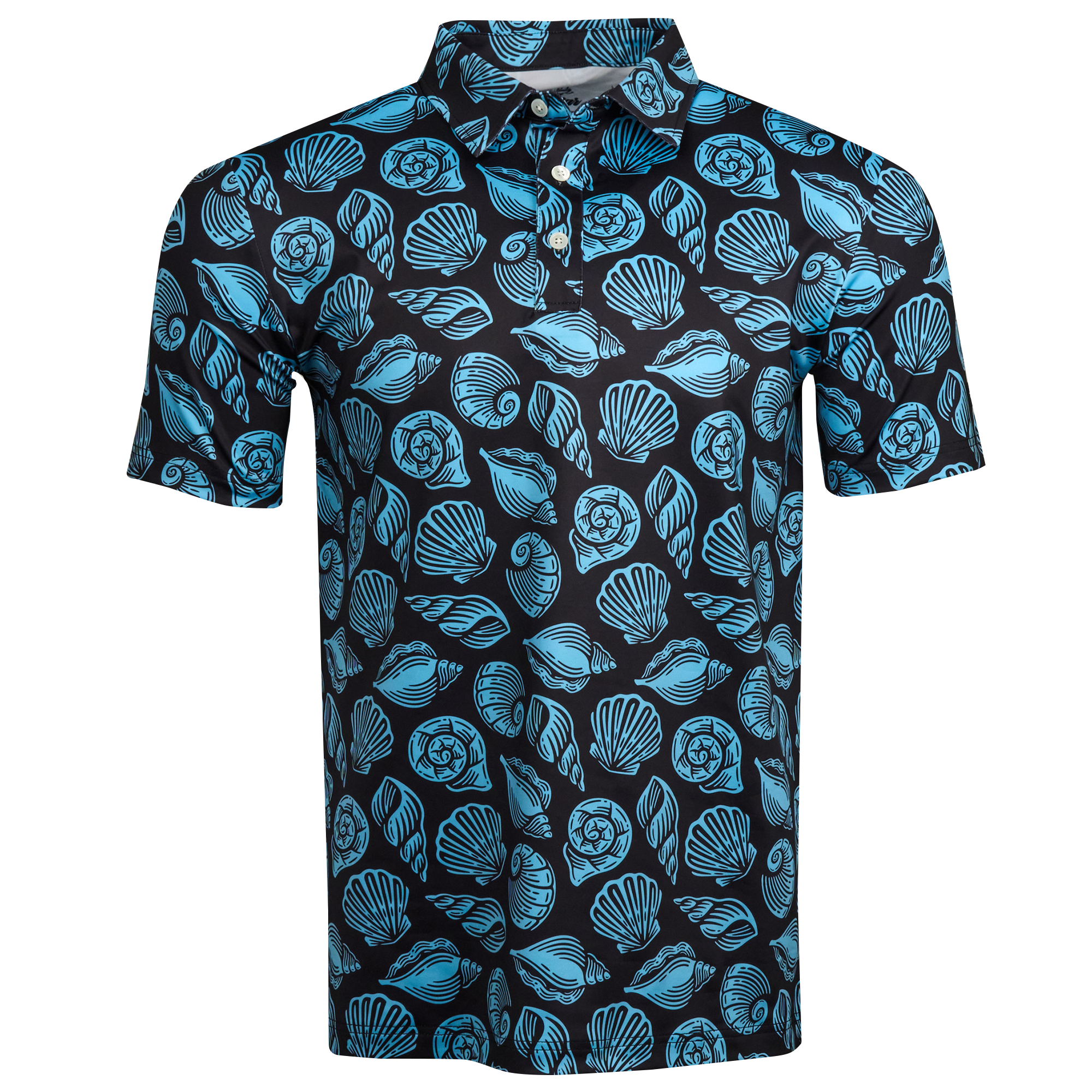 Seashells