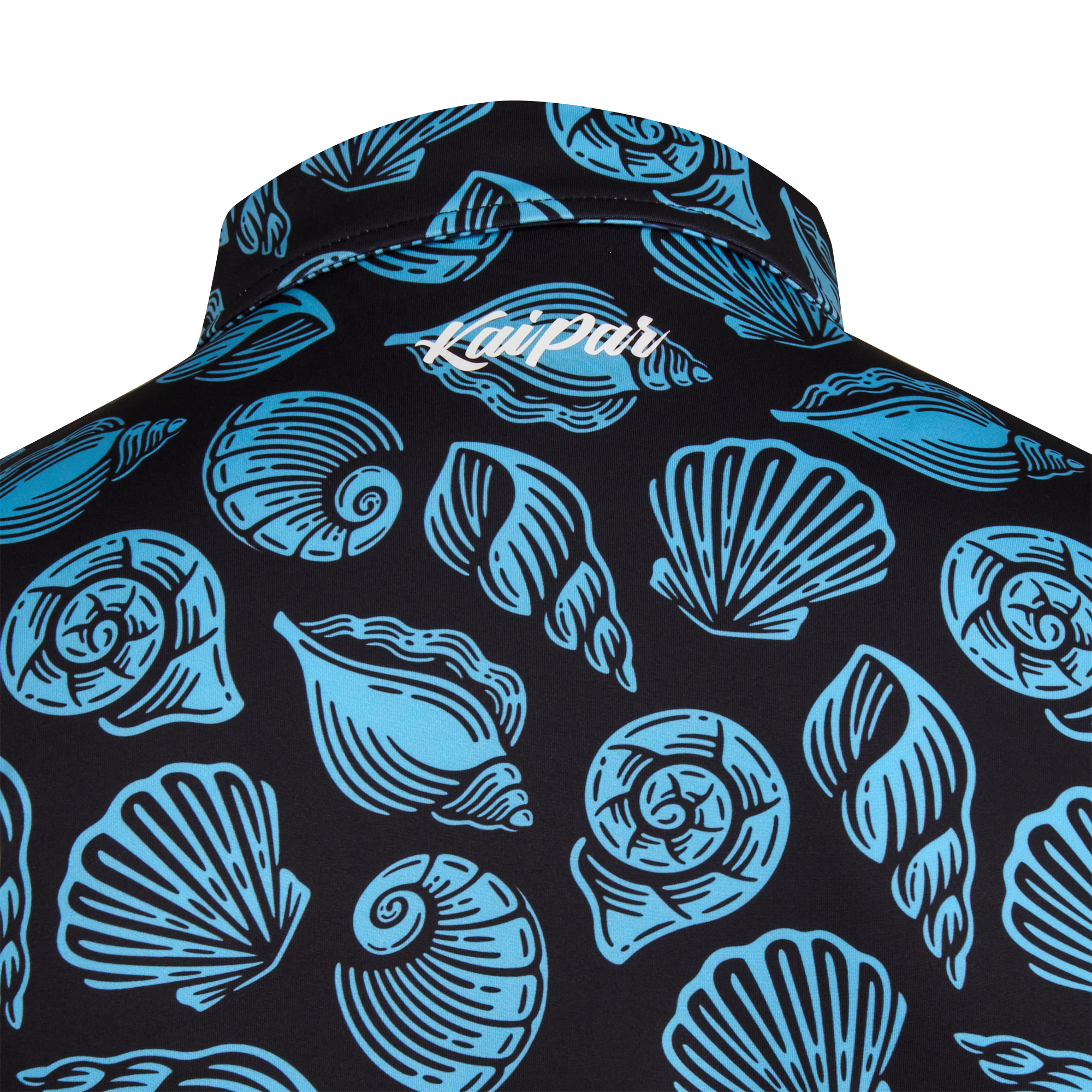 Seashells