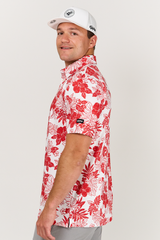 Red Hibiscus
