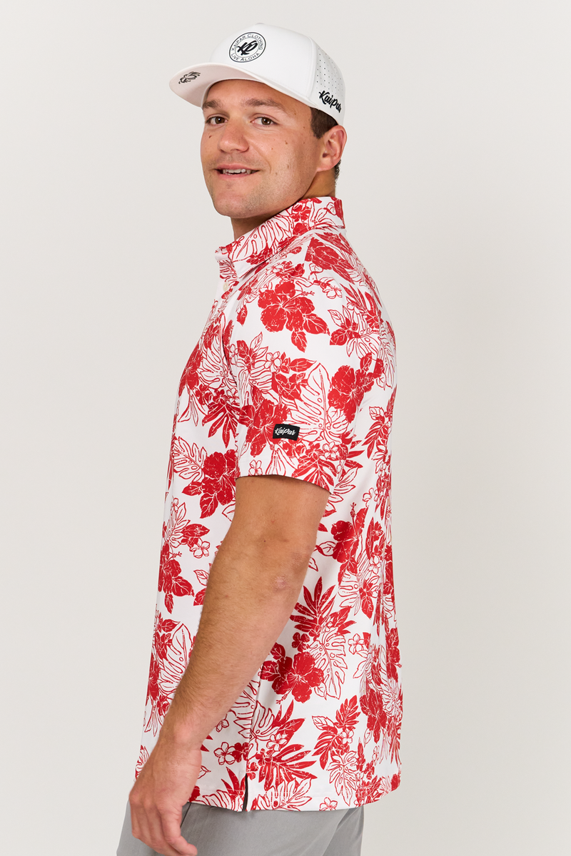 Red Hibiscus