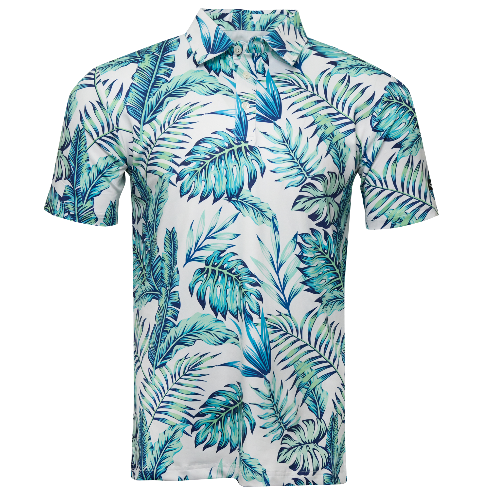The Tropics
