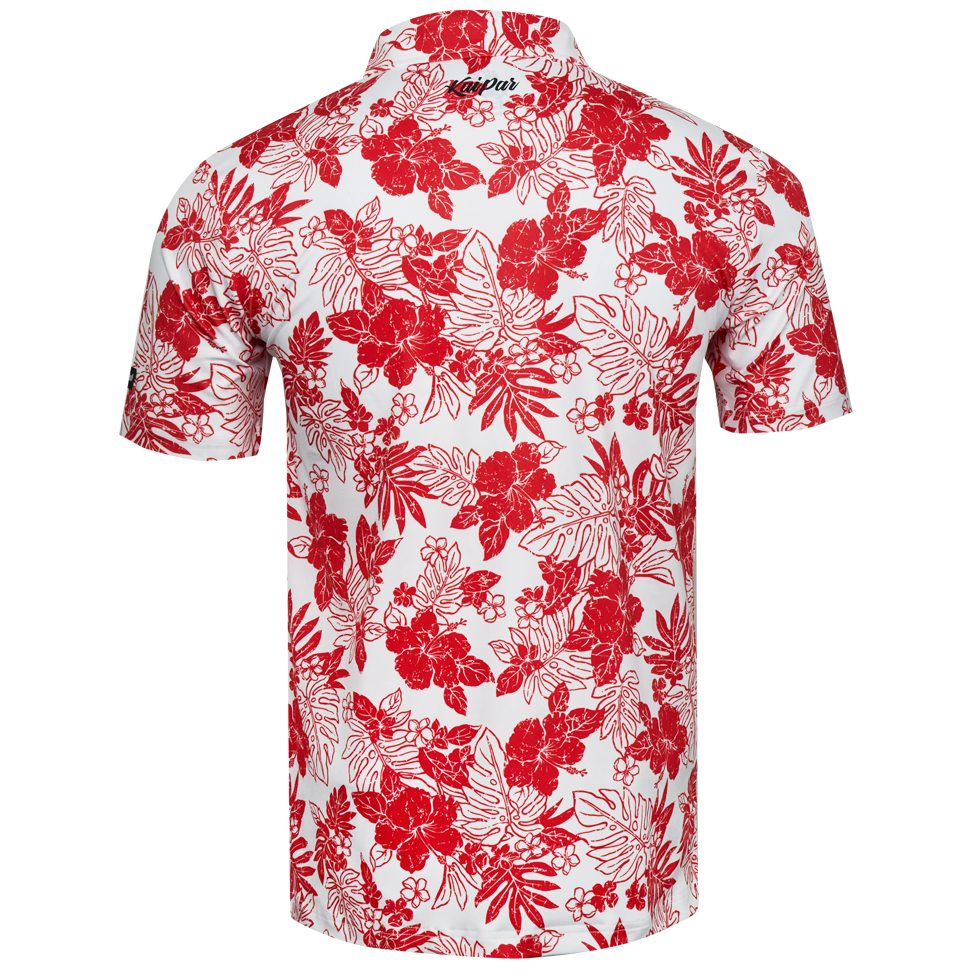 Red Hibiscus