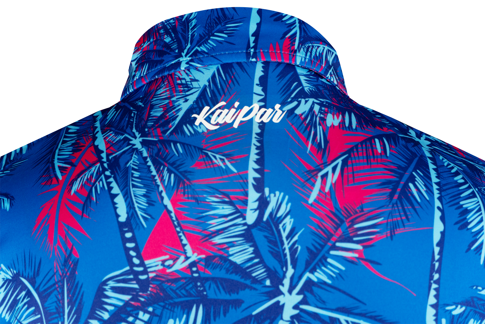 Midnight Palms