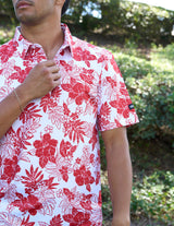 Red Hibiscus