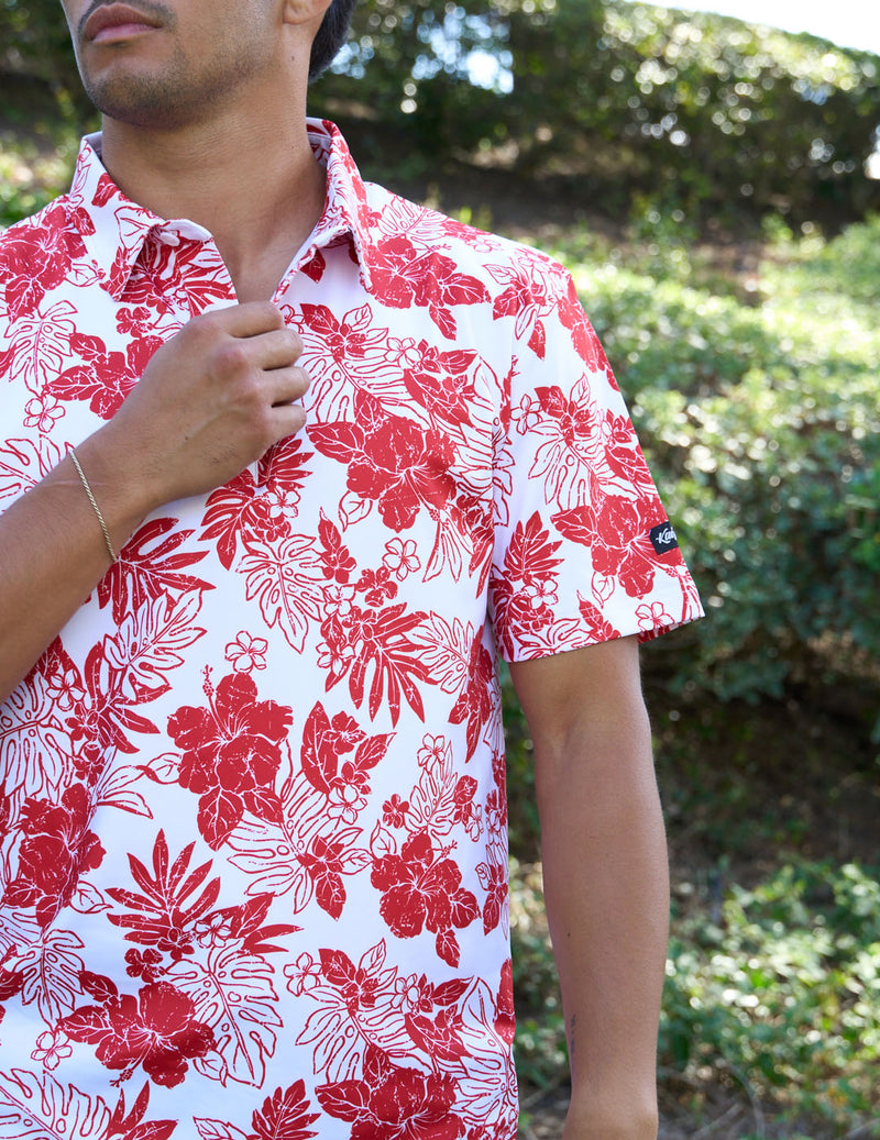 Red Hibiscus